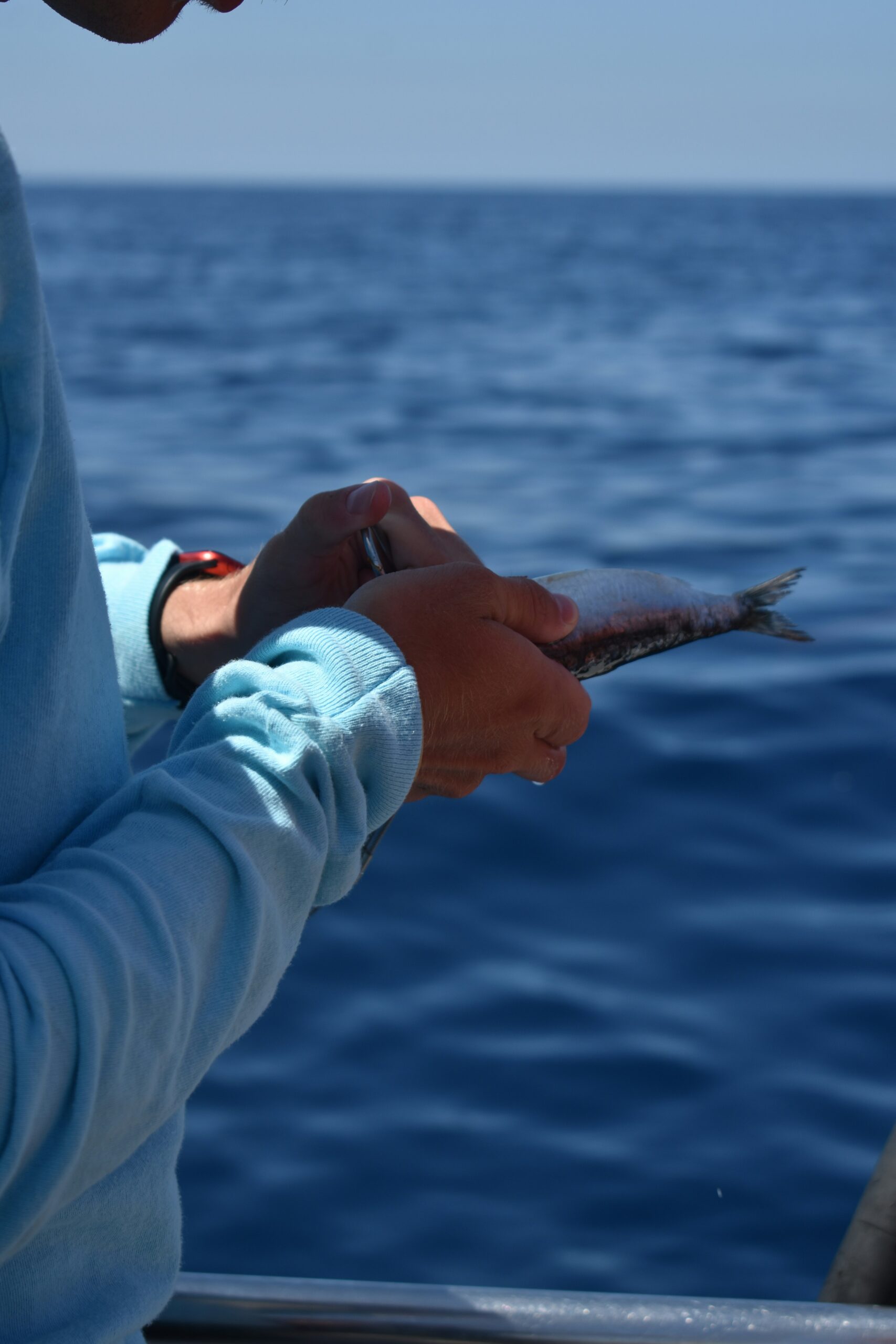 contact-fishing