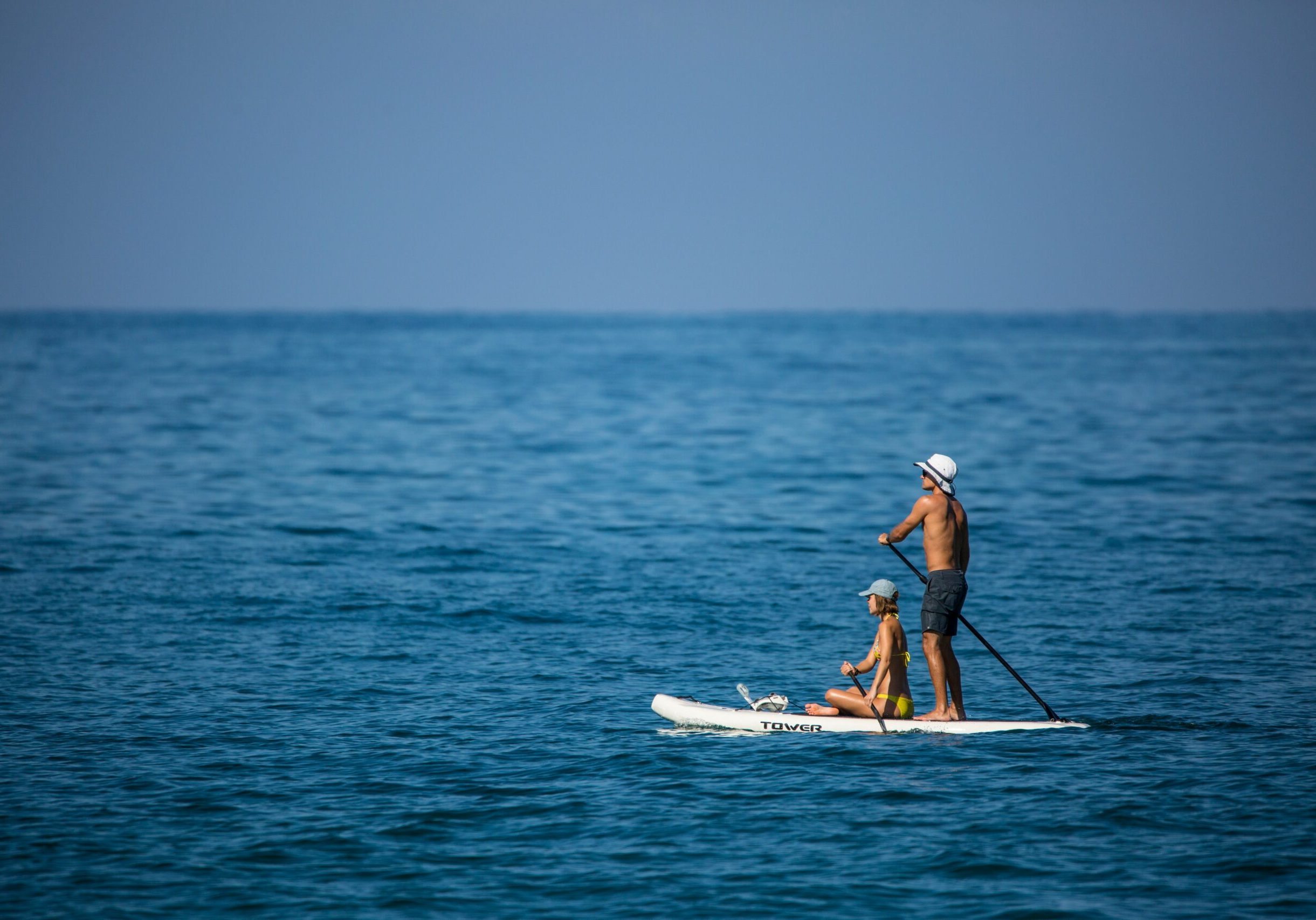 newsletter-ocean-warrior